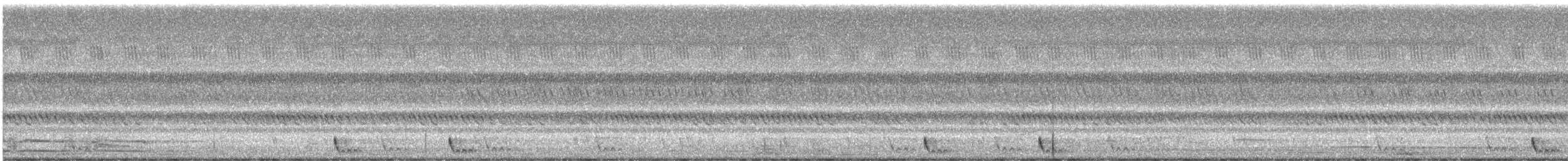 Langschwanz-Nachtschwalbe - ML512428981