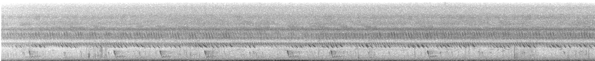 Large-tailed Nightjar - ML512429511