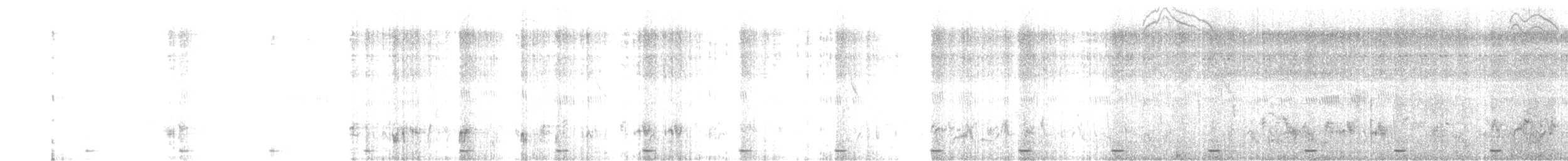 Bulbul Cejiblanco - ML512432861