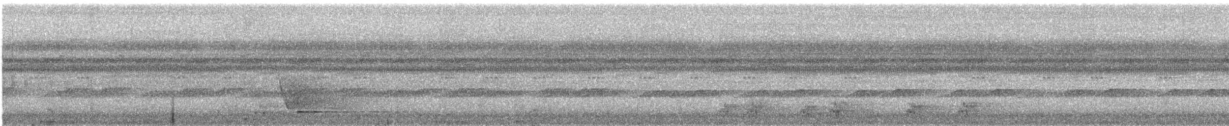 Cassique roussâtre (groupe angustifrons) - ML512441251
