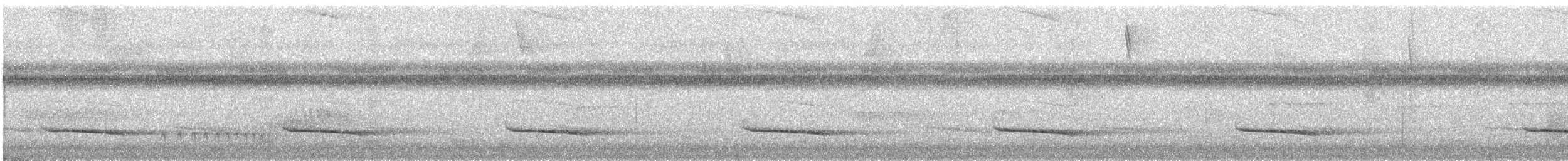 Slaty-capped Shrike-Vireo (Slaty-capped) - ML512441431