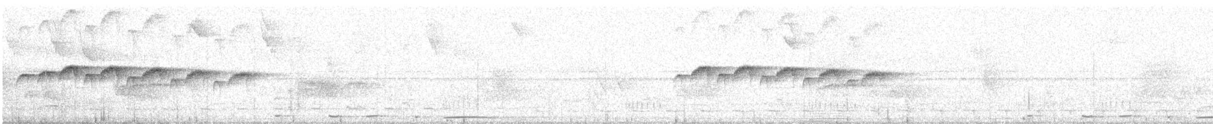 Beyaz Gerdanlı Karıncakuşu - ML512500301