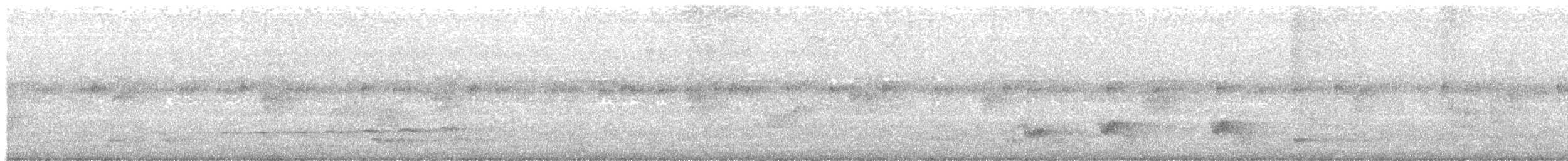 Grallaire de Natterer - ML512519951