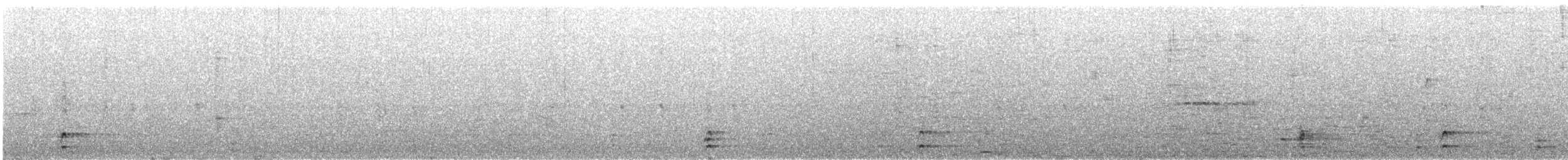 Кулик-довгоніг американський (підвид mexicanus) - ML512523741