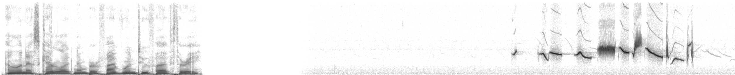 Пестрогрудая овсянка - ML51253