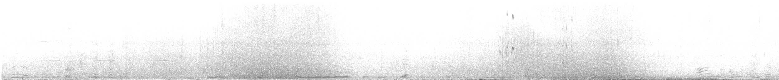 クロイソカマドドリ（antarcticus） - ML512548931