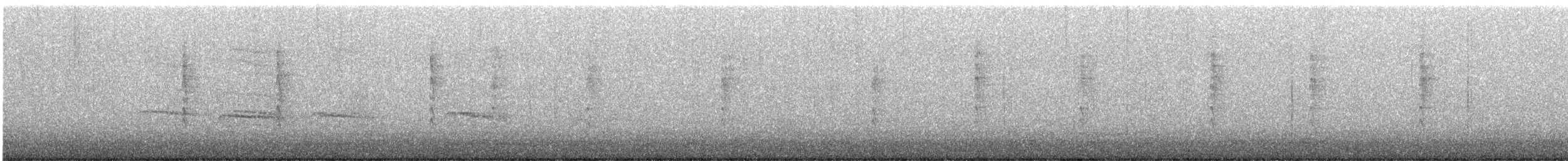 Paruline à calotte noire - ML512555981