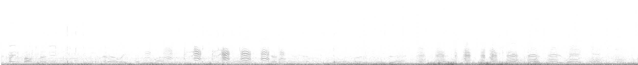 Поморник фолклендський (підвид lonnbergi) - ML512573531