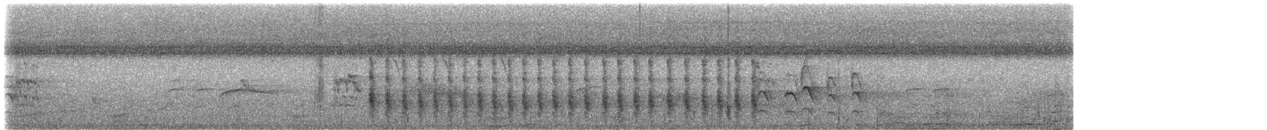 Красногрудый зимородок (torquata/stictipennis) - ML51258251