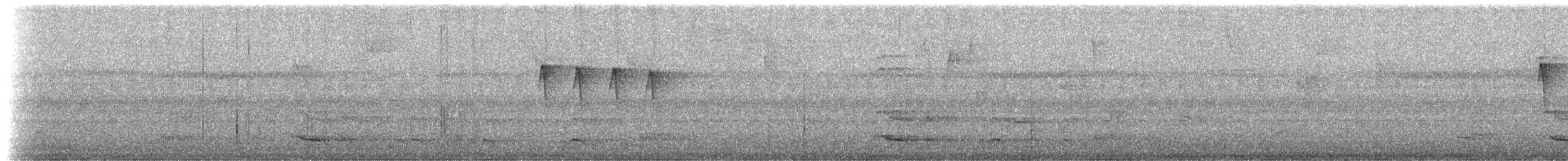 Крапчатогорлый алапи - ML51258911
