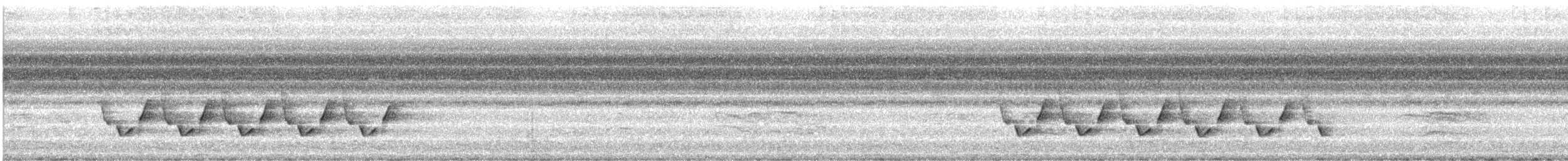 Поплітник каролінський - ML512589111