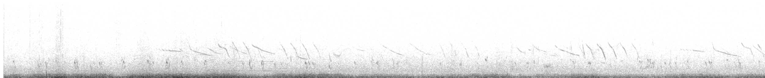 potápka stříbřitá (ssp. occipitalis) - ML512612401