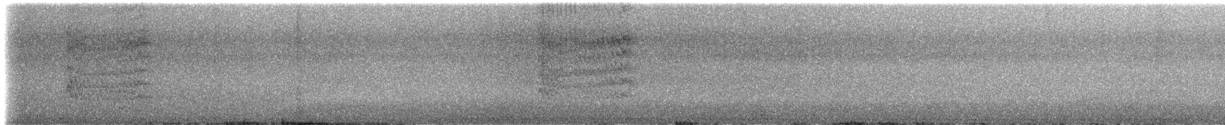 Pabuç Gagalı Tiran [mexicanus grubu] - ML51263571