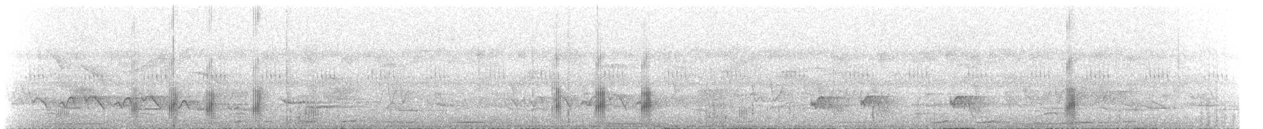 Black-tailed Tityra - ML512721641