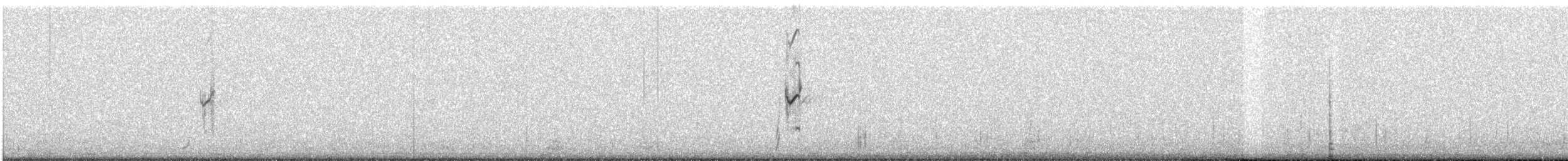Curve-billed Tinamou - ML512746941