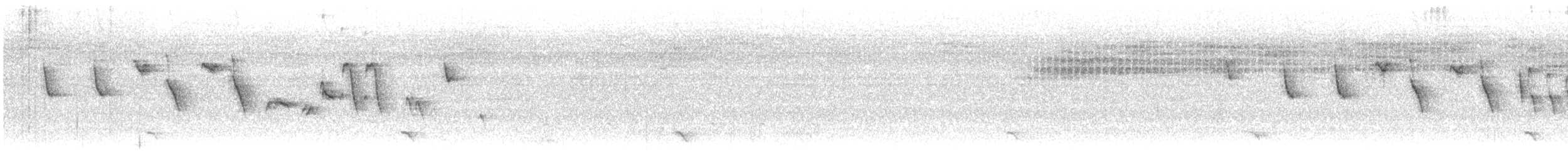 Двуошейниковая нектарница - ML512752831