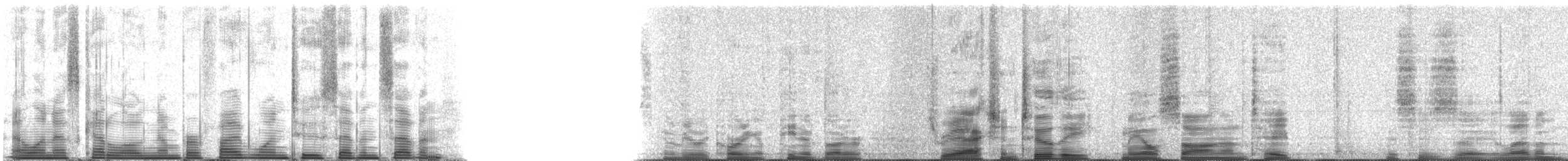 Carolina Wren - ML51277