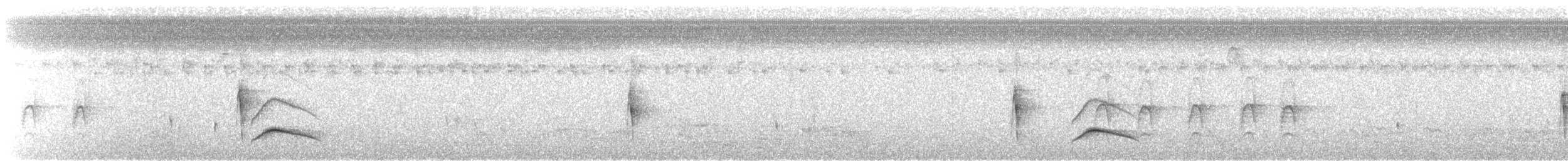 Large Elaenia - ML512800431