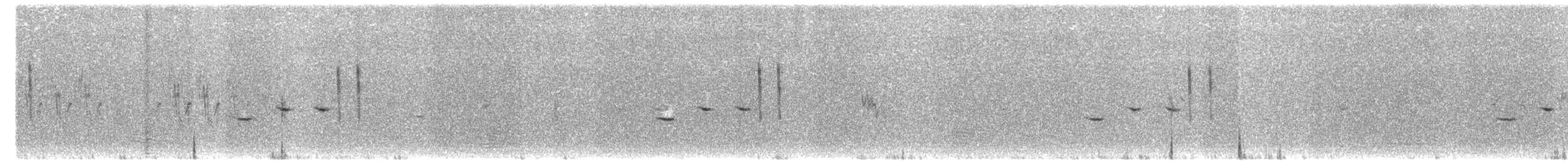 Cisticole pinc-pinc - ML512851471