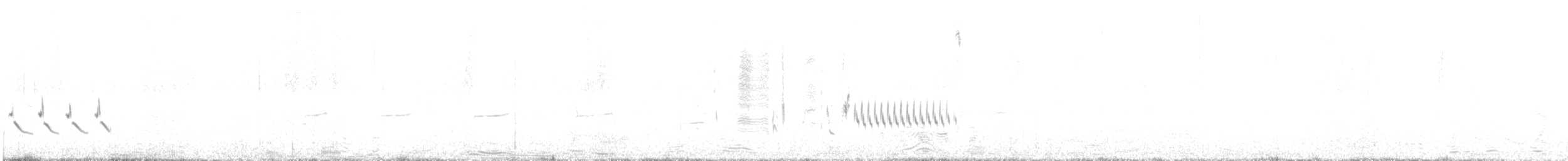 Grass Wren (Austral) - ML512862251