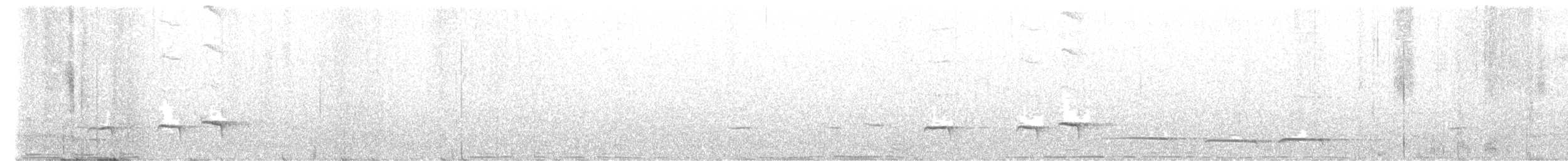 Grallaire ceinturée - ML512883991