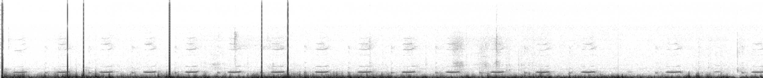 Серогрудый зобатый бегунок - ML512912971