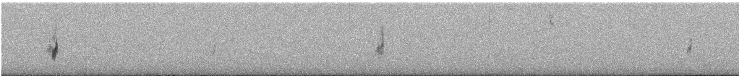 mesquitelerketrupial - ML512947251