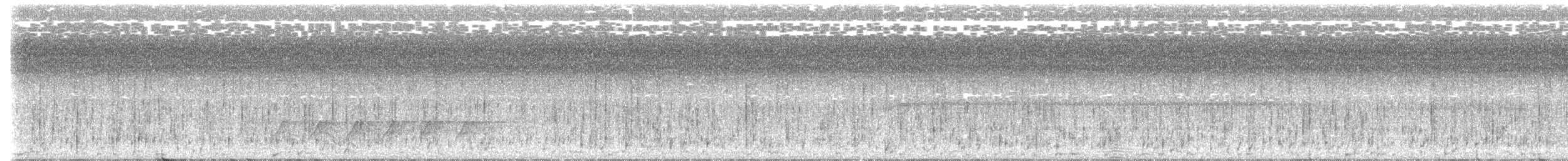 Королаз плямистобокий - ML512949671