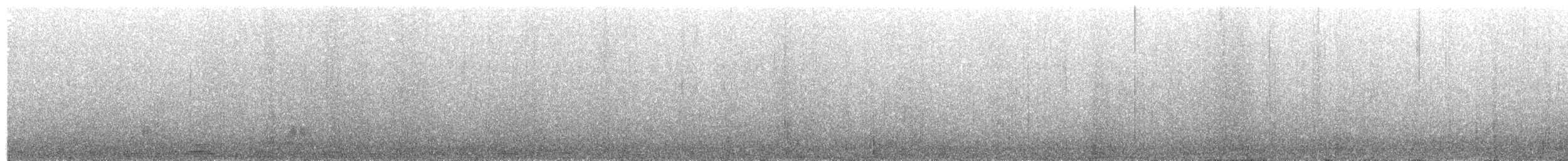 Magellan-Dampfschiffente (Chiloe-Form) - ML513018131