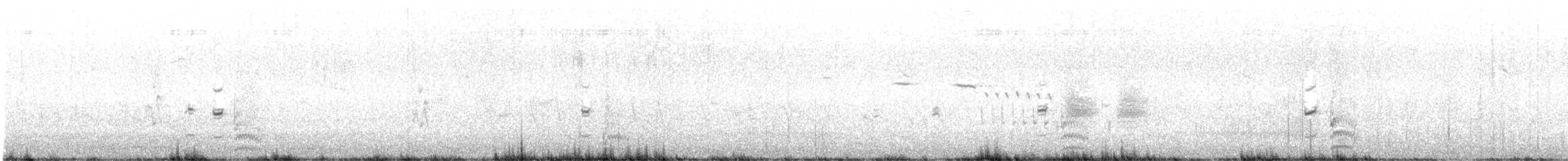 Погонич американський - ML513029501