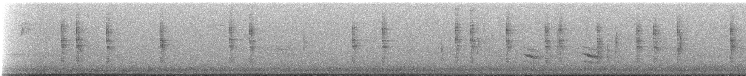 Troglodyte de Baird - ML513041341