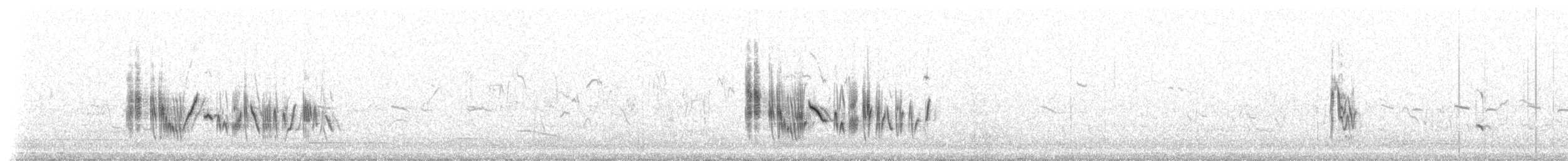 bělořit okrový - ML513099771