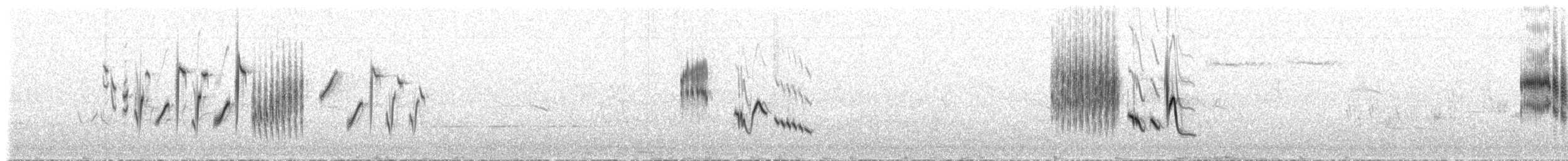 bramborníček hnědý - ML513102741