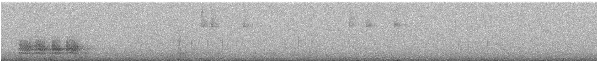 Weißbrustkleiber [lagunae-Gruppe] - ML513126351