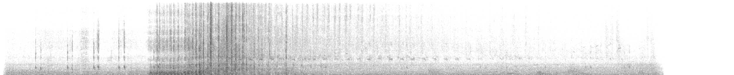 holub skvrnokřídlý (ssp. albipennis) - ML513148811