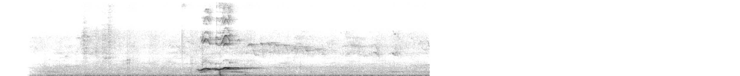 Pazifikkoel (cyanocephalus/subcyanocephalus) - ML513174181