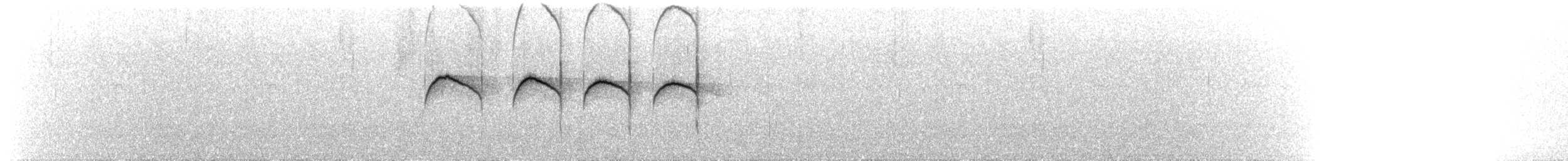Тиран-крихітка білолобий (підвид zeledoni) - ML51318671