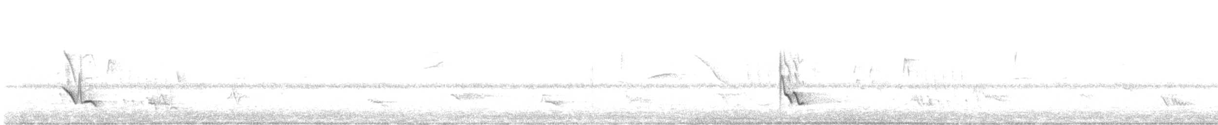 Red-crested Cardinal - ML513260981