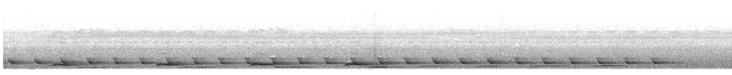 Torquéole de Campbell - ML513261921