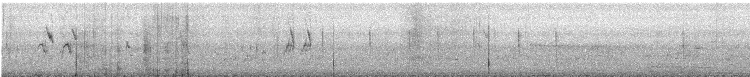 נחליאלי לבן (סיני) - ML513275241