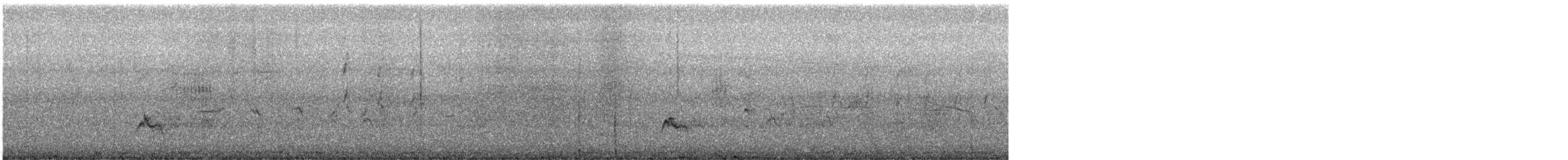 Little Ringed Plover (dubius/jerdoni) - ML513275331