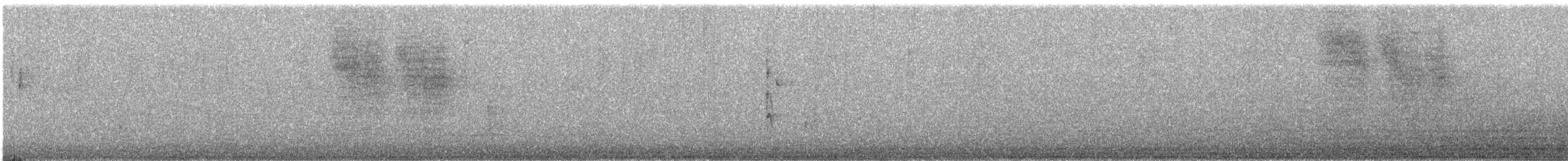 Kalifornienhäher - ML513294831