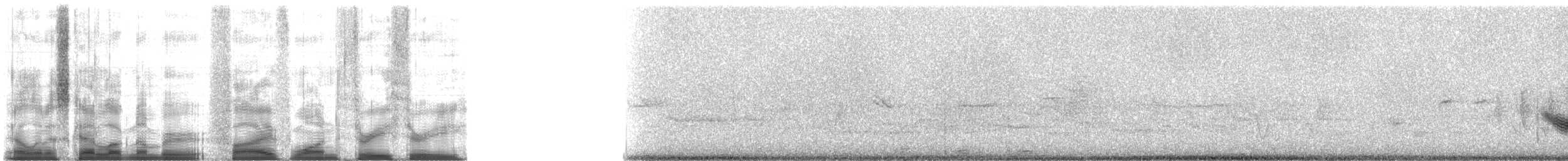 Picchion cramoisi - ML5133