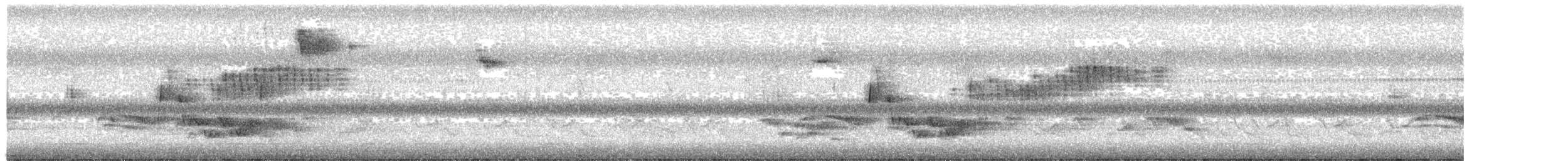 Northern Parula - ML51330901