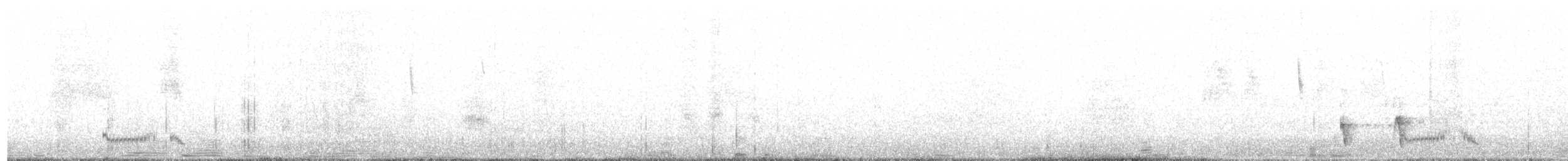 Kara Kanatlı Yer Kumrusu - ML513343391