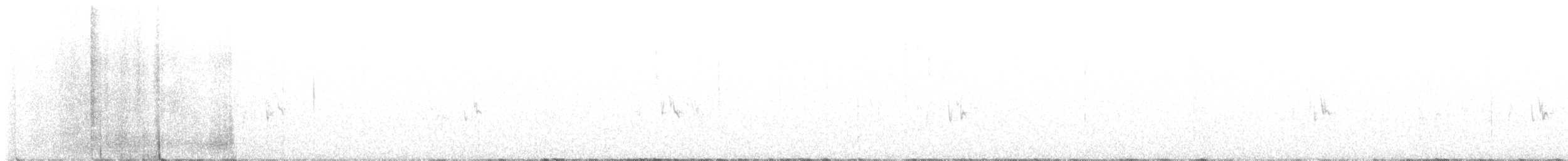 Cassin Çütresi - ML513367251