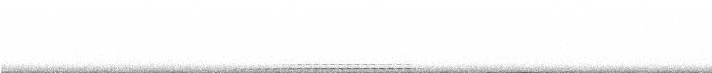 Nyctale de Tengmalm - ML513389351