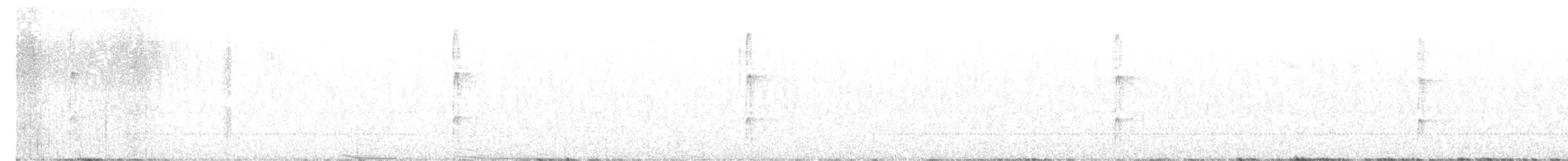 strakapoud proužkohřbetý - ML513419371