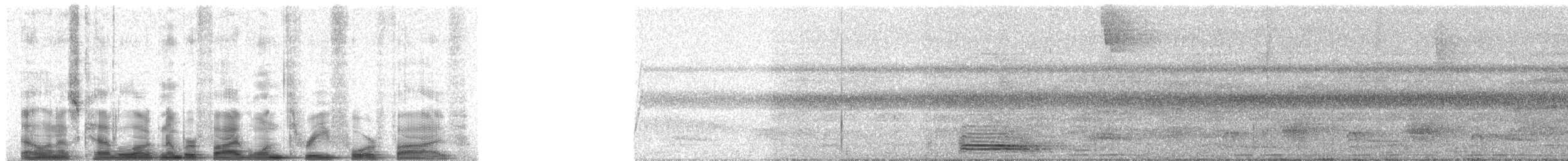 Broad-billed Motmot (Plain-tailed) - ML51345