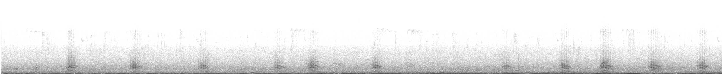 polák vlnkovaný - ML513457781